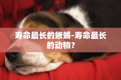 壽命最長的蜥蜴-壽命最長的動物？