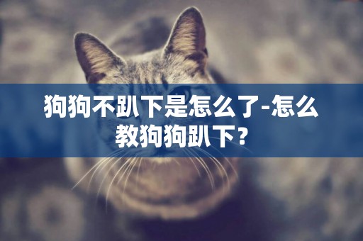 狗狗不趴下是怎么了-怎么教狗狗趴下？