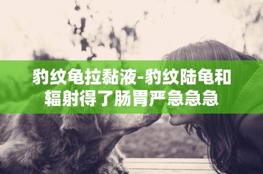 豹紋龜拉黏液-豹紋陸龜和輻射得了腸胃嚴急急急