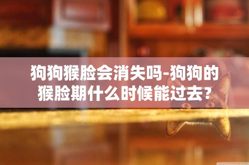 狗狗猴臉會消失嗎-狗狗的猴臉期什么時候能過去？