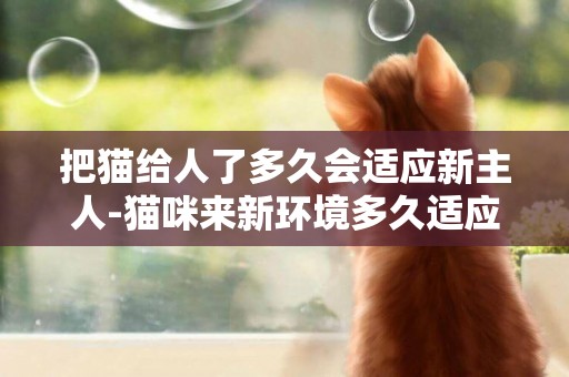 把貓給人了多久會適應新主人-貓咪來新環境多久適應