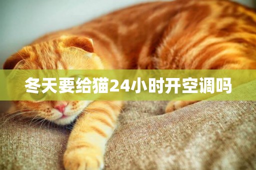 冬天要給貓24小時開空調嗎