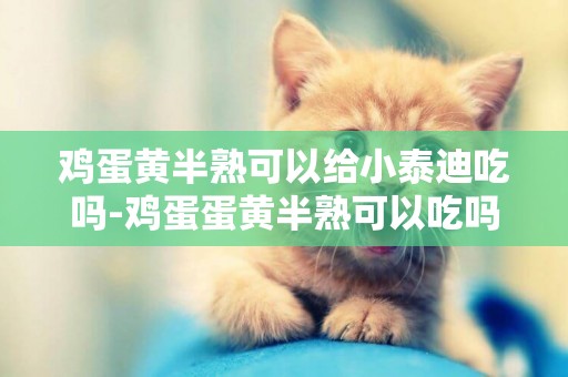 雞蛋黃半熟可以給小泰迪吃嗎-雞蛋蛋黃半熟可以吃嗎