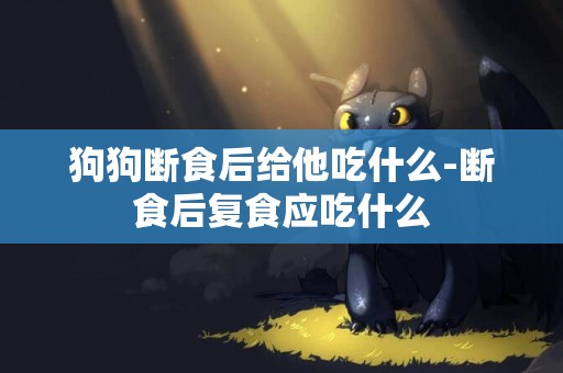 狗狗斷食后給他吃什么-斷食后復食應吃什么