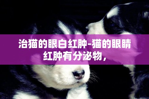 治貓的眼白紅腫-貓的眼睛紅腫有分泌物，