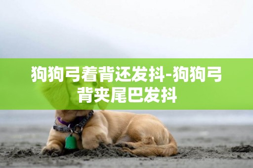 狗狗弓著背還發抖-狗狗弓背夾尾巴發抖