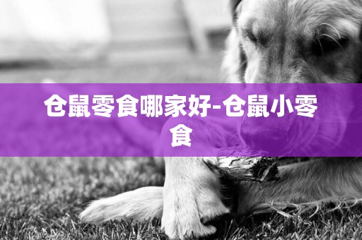 倉鼠零食哪家好-倉鼠小零食