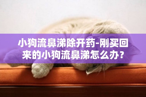 小狗流鼻涕除開藥-剛買回來的小狗流鼻涕怎么辦？