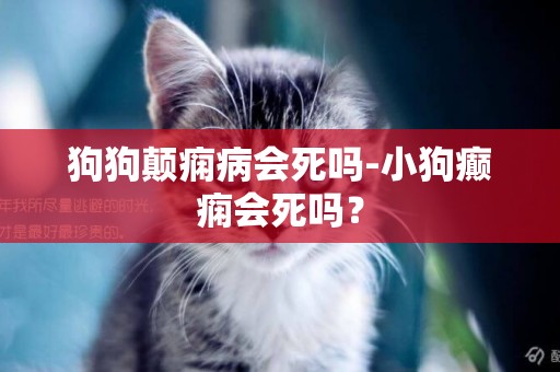 狗狗顛癇病會死嗎-小狗癲癇會死嗎？