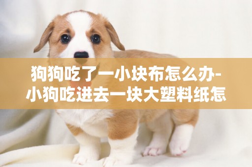 狗狗吃了一小塊布怎么辦-小狗吃進去一塊大塑料紙怎么辦？