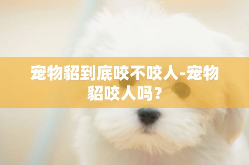 寵物貂到底咬不咬人-寵物貂咬人嗎？