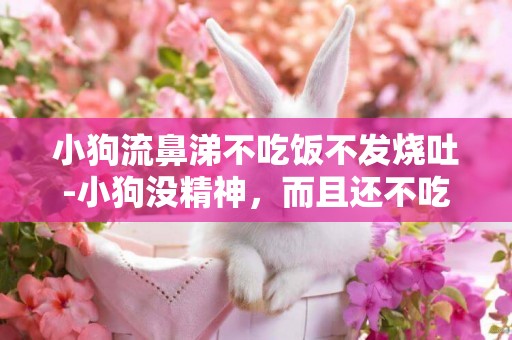 小狗流鼻涕不吃飯不發燒吐-小狗沒精神，而且還不吃飯流鼻涕嘔吐