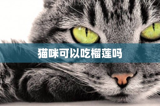 貓咪可以吃榴蓮嗎