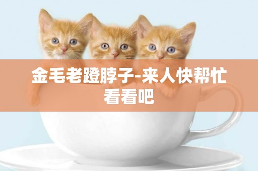 金毛老蹬脖子-來人快幫忙看看吧