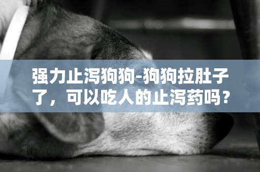 強力止瀉狗狗-狗狗拉肚子了，可以吃人的止瀉藥嗎？