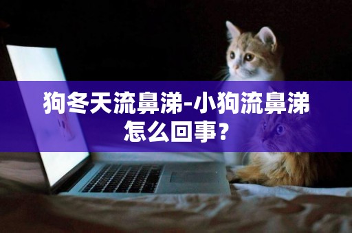狗冬天流鼻涕-小狗流鼻涕怎么回事？