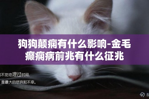 狗狗顛癇有什么影響-金毛癲癇病前兆有什么征兆