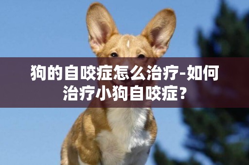 狗的自咬癥怎么治療-如何治療小狗自咬癥？