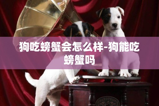 狗吃螃蟹會怎么樣-狗能吃螃蟹嗎