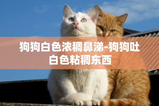 狗狗白色濃稠鼻涕-狗狗吐白色粘稠東西