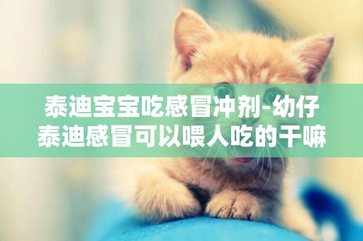泰迪寶寶吃感冒沖劑-幼仔泰迪感冒可以喂人吃的干嘛沖劑嗎
