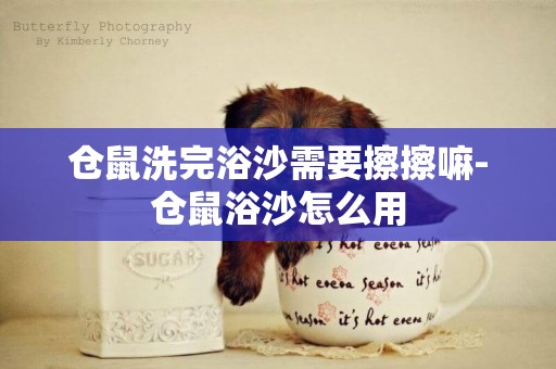 倉鼠洗完浴沙需要擦擦嘛-倉鼠浴沙怎么用