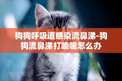 狗狗呼吸道感染流鼻涕-狗狗流鼻涕打噴嚏怎么辦