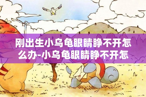 剛出生小烏龜眼睛睜不開怎么辦-小烏龜眼睛睜不開怎么辦