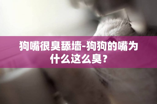 狗嘴很臭舔墻-狗狗的嘴為什么這么臭？