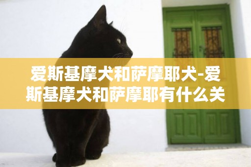 愛斯基摩犬和薩摩耶犬-愛斯基摩犬和薩摩耶有什么關系