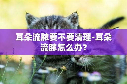 耳朵流膿要不要清理-耳朵流膿怎么辦？