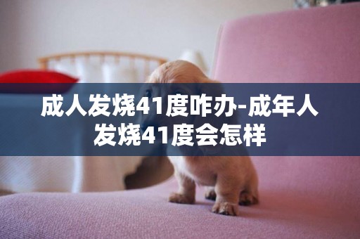 成人發燒41度咋辦-成年人發燒41度會怎樣