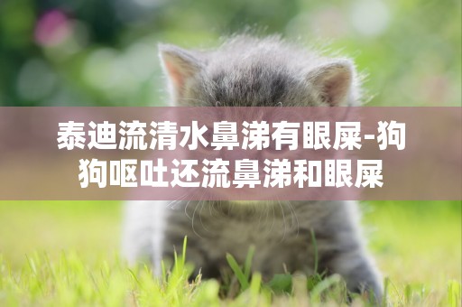 泰迪流清水鼻涕有眼屎-狗狗嘔吐還流鼻涕和眼屎