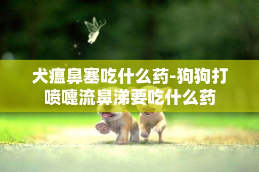 犬瘟鼻塞吃什么藥-狗狗打噴嚏流鼻涕要吃什么藥