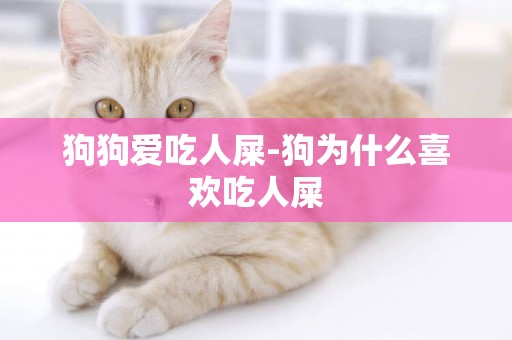 狗狗愛吃人屎-狗為什么喜歡吃人屎
