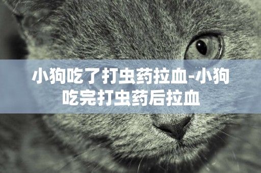小狗吃了打蟲藥拉血-小狗吃完打蟲藥后拉血