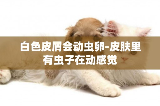 白色皮屑會動蟲卵-皮膚里有蟲子在動感覺