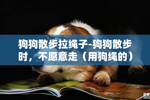 狗狗散步拉繩子-狗狗散步時，不愿意走（用狗繩的）