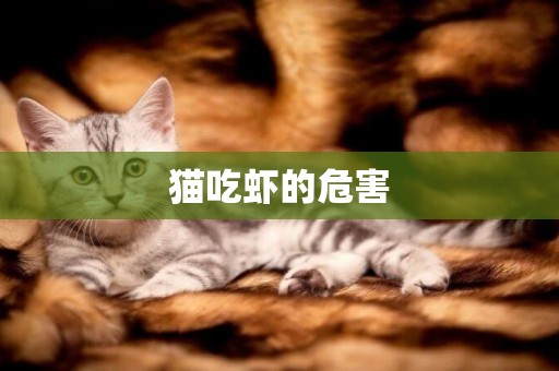 貓吃蝦的危害