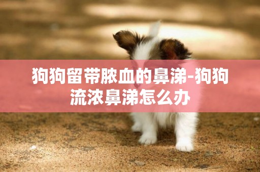 狗狗留帶膿血的鼻涕-狗狗流濃鼻涕怎么辦