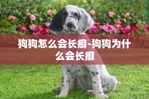 狗狗怎么會長癬-狗狗為什么會長癬