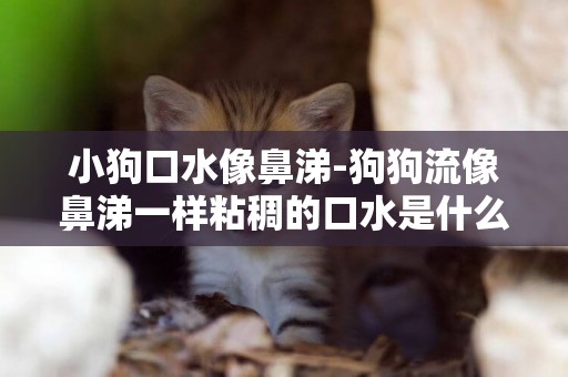 小狗口水像鼻涕-狗狗流像鼻涕一樣粘稠的口水是什么病?