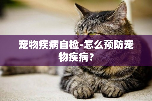 寵物疾病自檢-怎么預防寵物疾病？