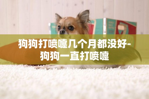 狗狗打噴嚏幾個月都沒好-狗狗一直打噴嚏