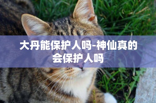 大丹能保護人嗎-神仙真的會保護人嗎
