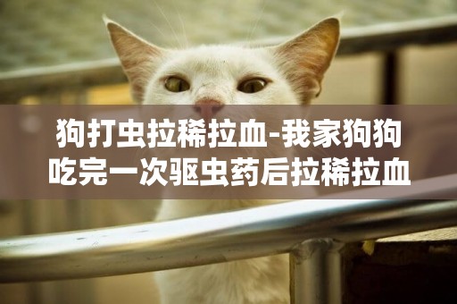 狗打蟲拉稀拉血-我家狗狗吃完一次驅蟲藥后拉稀拉血，怎么辦