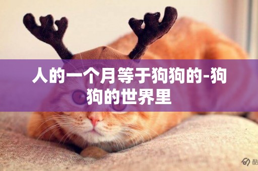 人的一個月等于狗狗的-狗狗的世界里