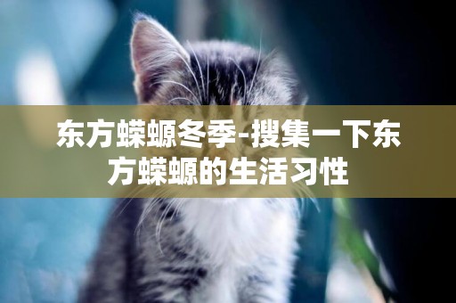 東方蠑螈冬季-搜集一下東方蠑螈的生活習性