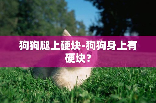 狗狗腿上硬塊-狗狗身上有硬塊？