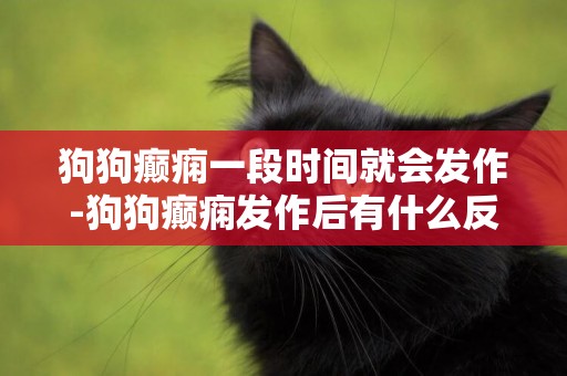 狗狗癲癇一段時間就會發作-狗狗癲癇發作后有什么反應